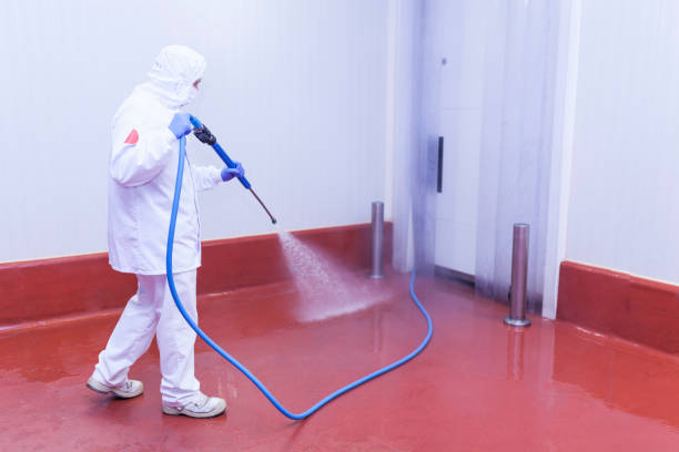 Best Sidewalk and Walkway Cleaning  in Gillette, NJ